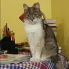 Отзыв от Зинаида Маркова